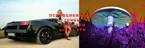 тгк Бронницы