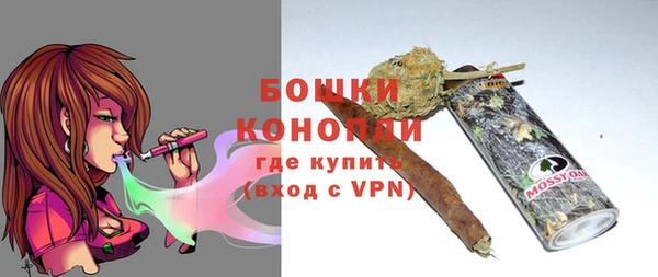 стафф Бородино