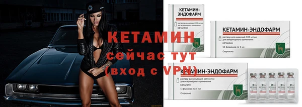 стафф Бородино