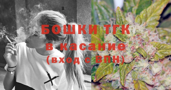 стафф Бородино
