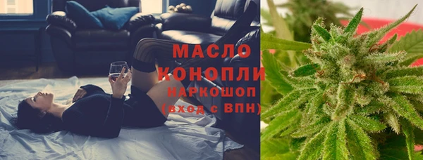 стафф Бородино